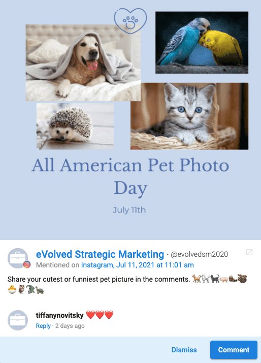 Evolved social media image